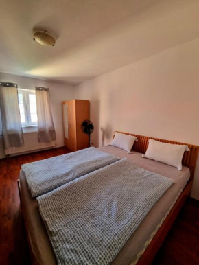 Big huge apartment Center 84m NIVY
